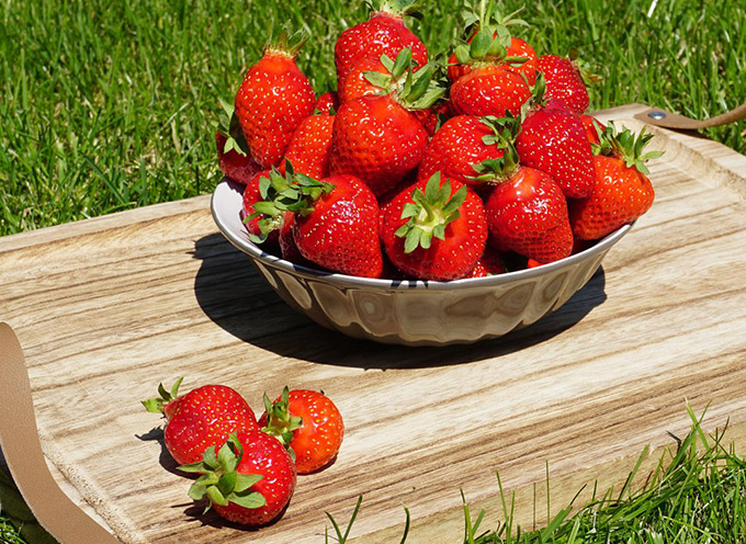 vente de fraises